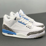 Air Jordan 3s UNC